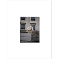 2c3be05b-d411-4090-8ce3-86aaadbb9ae6