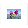 a4a43c99-c08f-40c6-821f-fc04e1a995a0