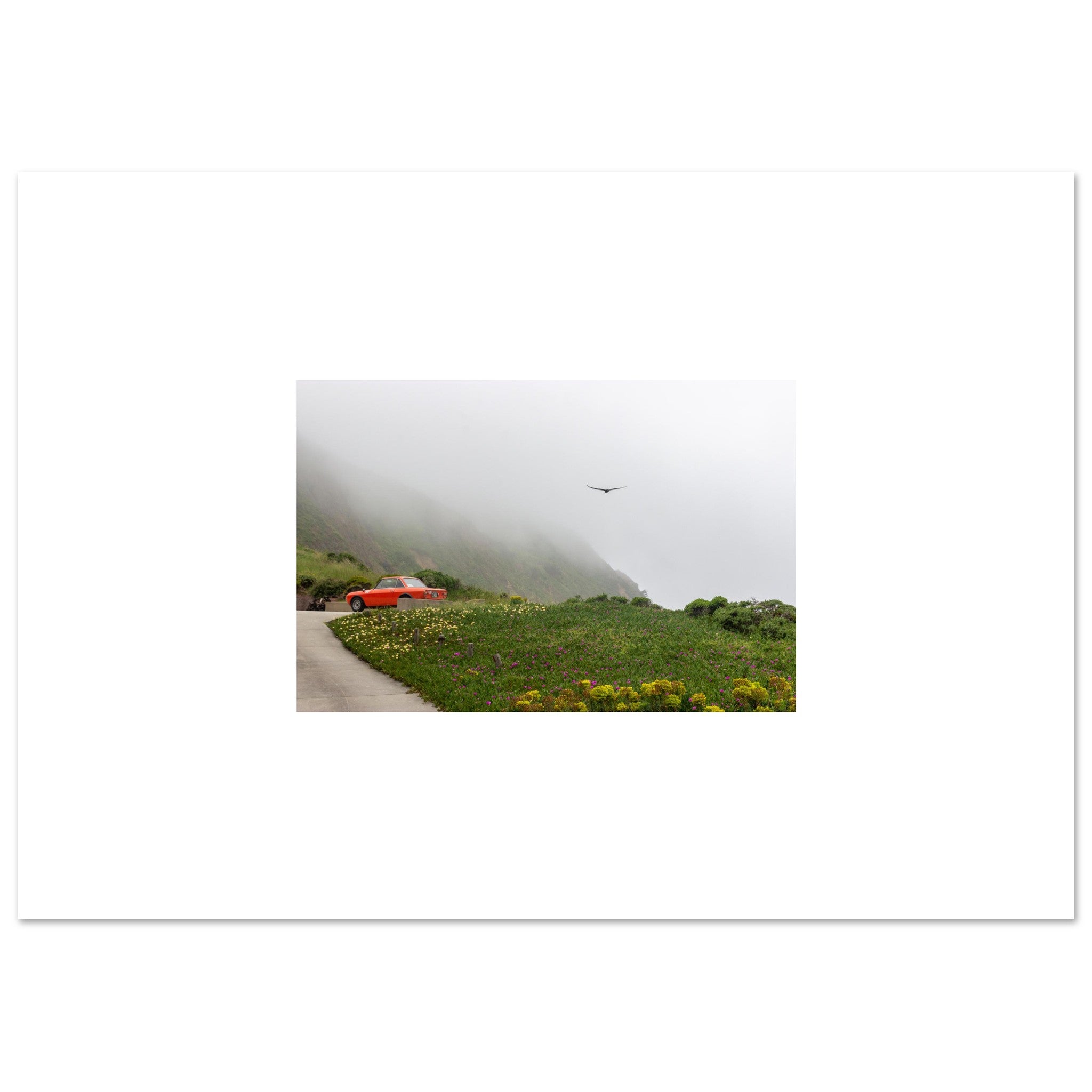 bd266296-04bd-4f58-a04d-ff549384b1b1