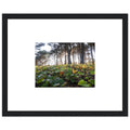 d8cf4ce3-e0de-4af5-981b-6c8e26943c6e